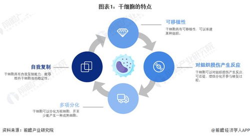 干細胞技術最新預測 裴鋼院士強調(diào)前沿生物醫(yī)藥產(chǎn)品開發(fā)需確保三大核心要素